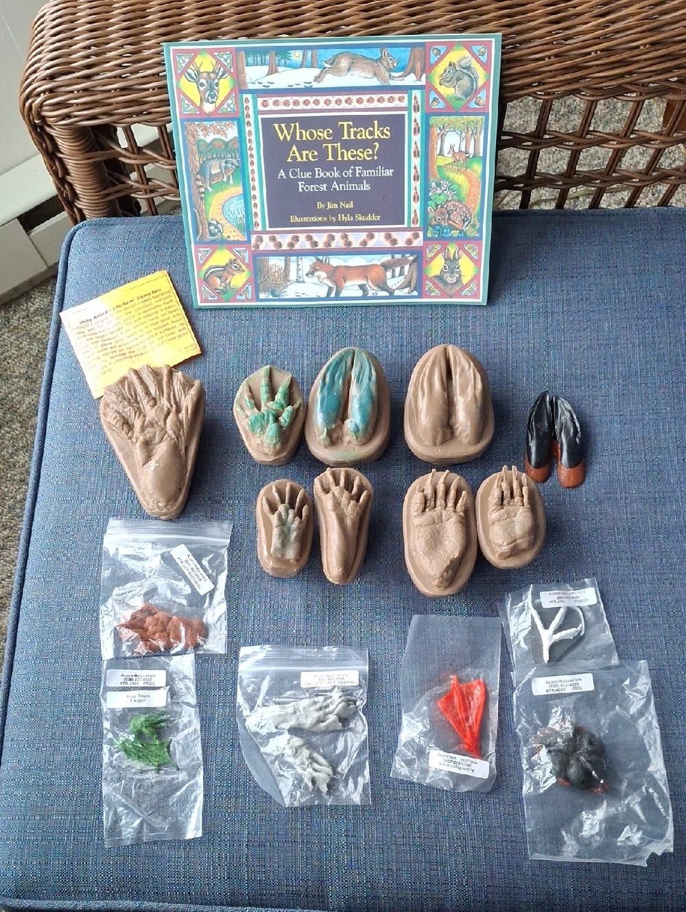 Animal Track Rubber Stamps Replicas/Wild Animal Paw Replicas